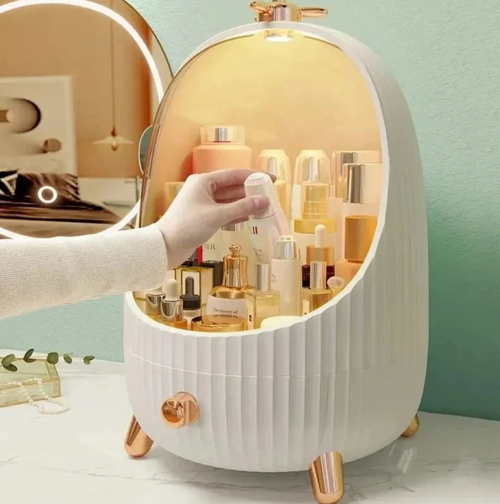 Cosmetic makeup Storage Box with LED Light